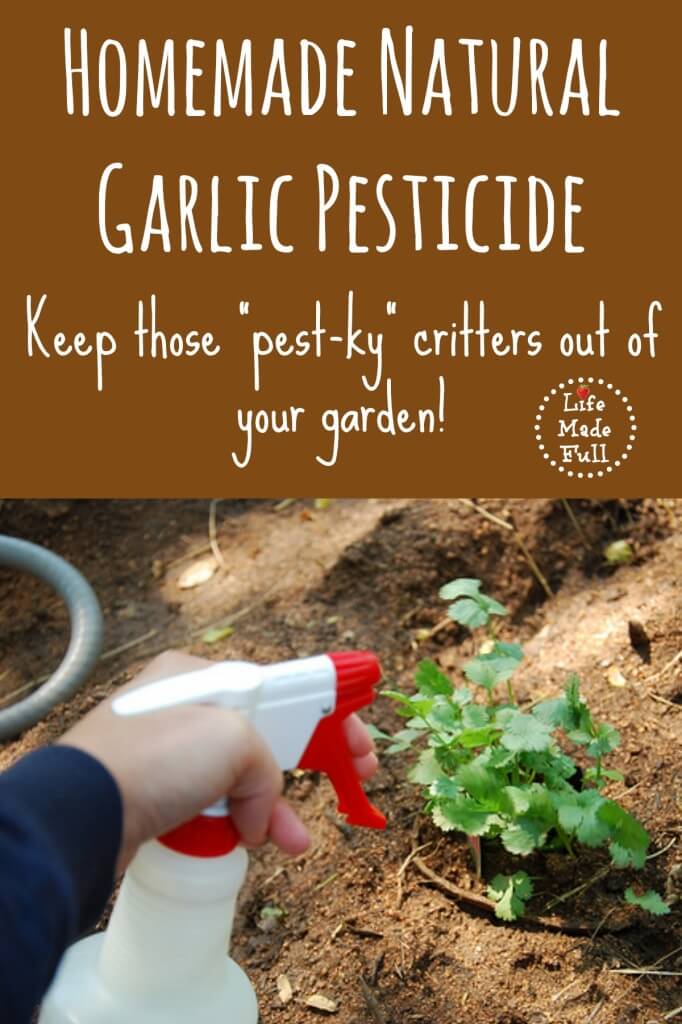 garlic pesticide