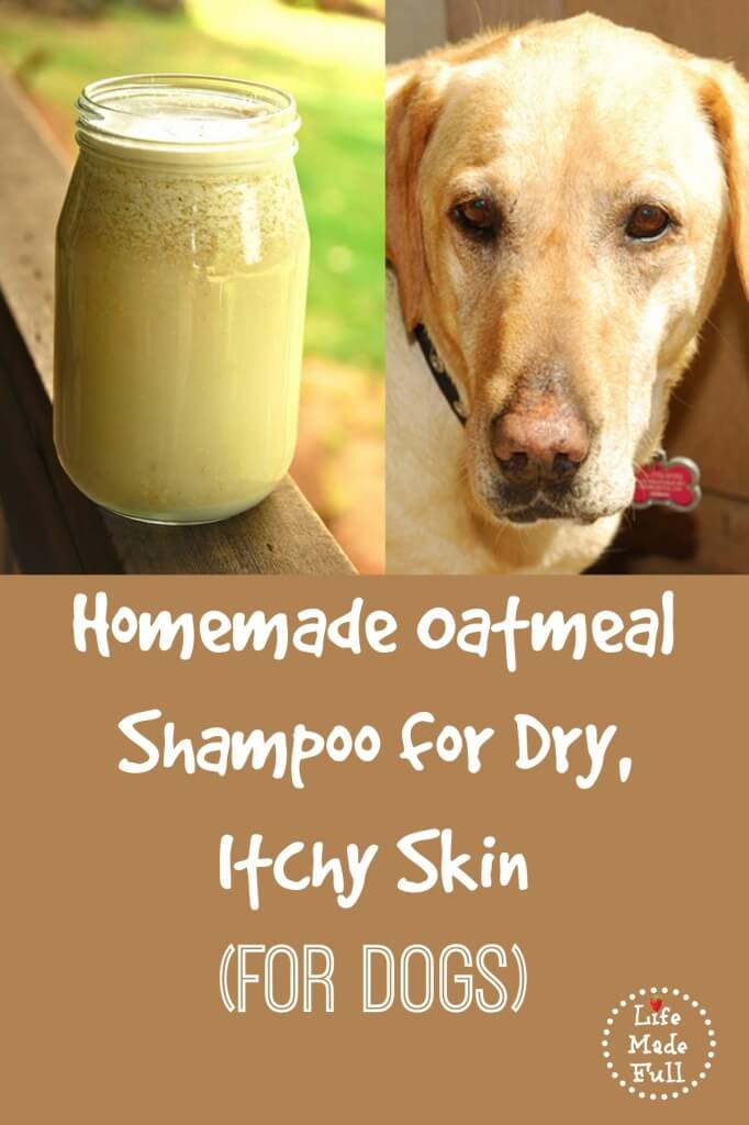homemade shampoo for dogs