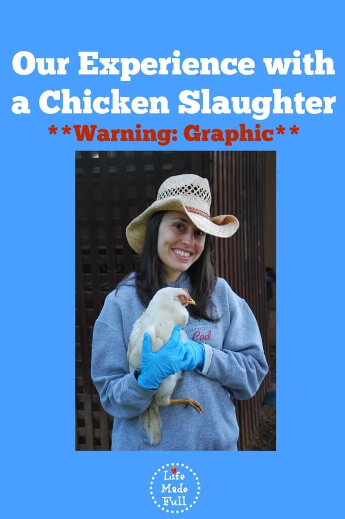 chicken slaughter