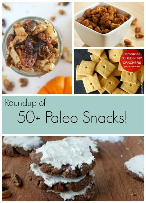 50+ Paleo Snack ideas! These are all great for quick Paleo snacks!