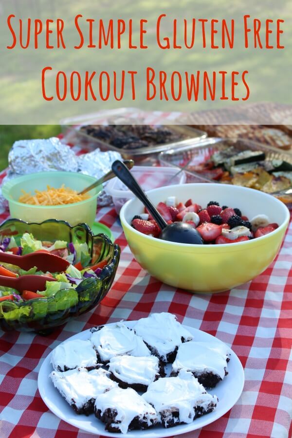 Pillsbury gluten free brownies for a family cookout