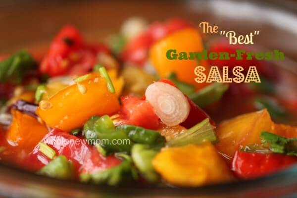 This Easy Homemade Salsa Recipe comes together in a flash and tastes amazing!